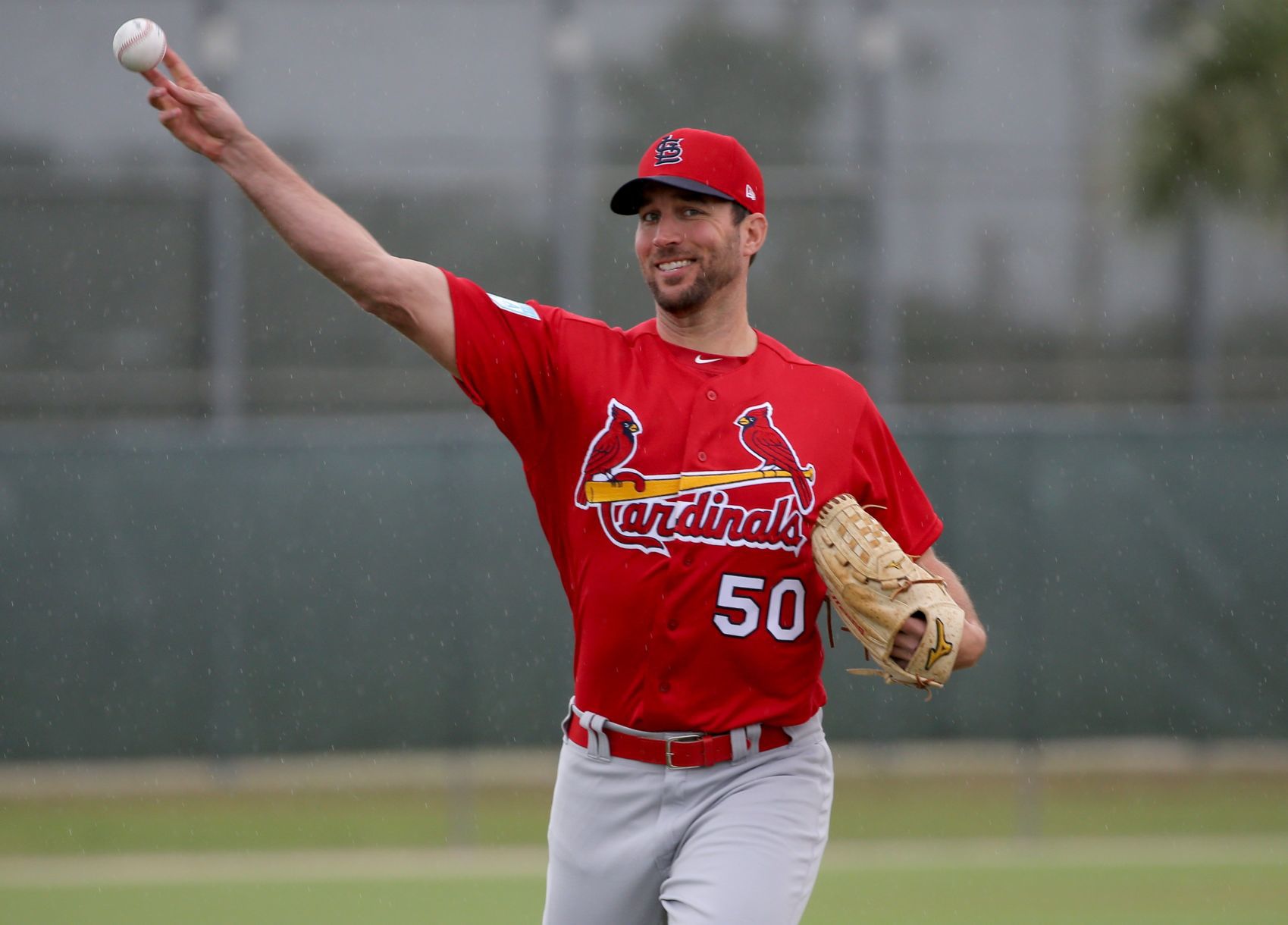 Cardinals spring training